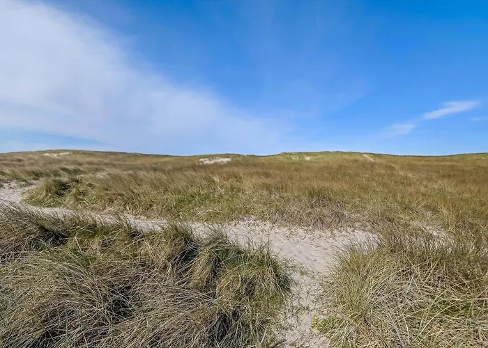 358-harboore-fourmivej-72 別荘 *